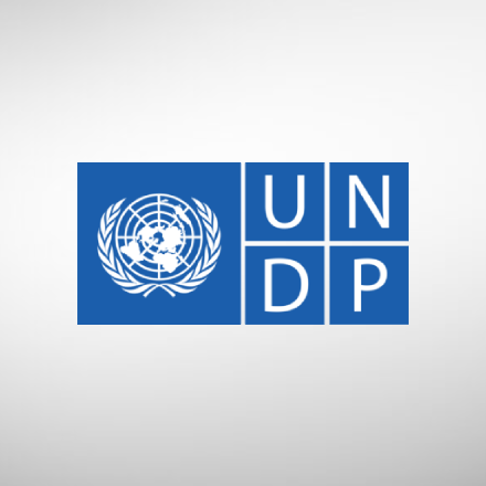 UNDP